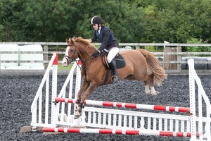 Class 6 - Fences not above 2'9